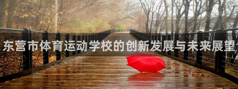 必发官方正版app集团官网网址:东营市体育运动学校的创新发展