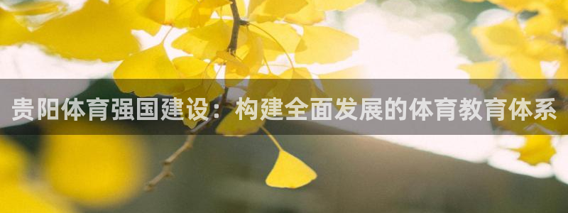 必发官网下载招商:贵阳体育强国建设:构建全面发展的体育教育体