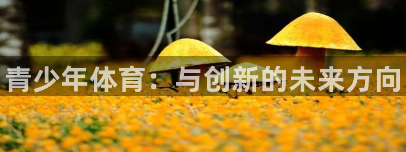 必发官网下载注册:青少年体育:与创新的未来方向