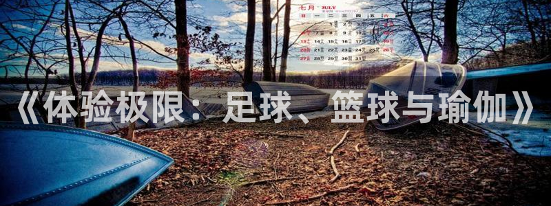 必发官方正版app娱乐代理怎么样:《体验极限:足球、篮球与瑜
